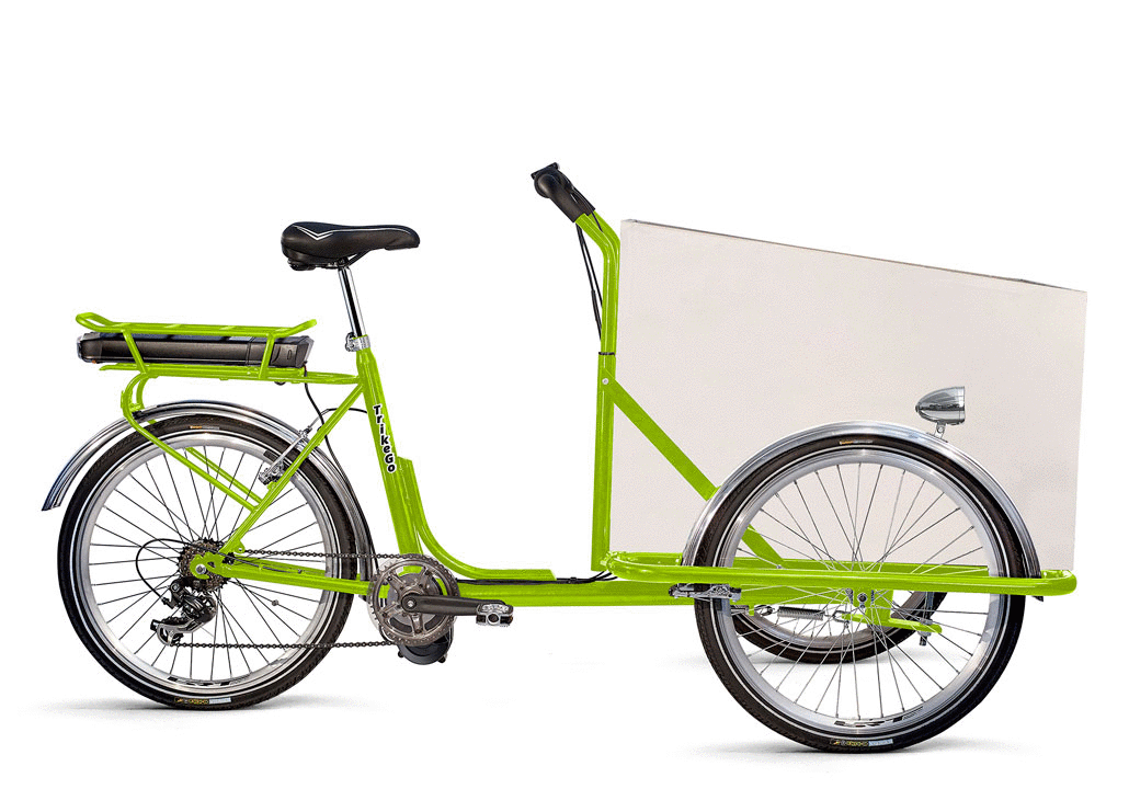 biciclette elettriche piccole